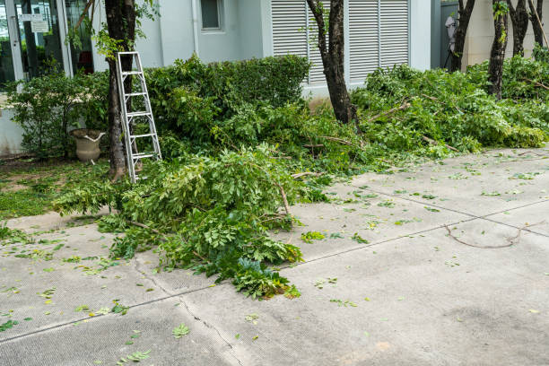 Best Tree Risk Assessment  in South Rosemary, NC